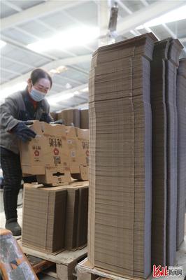 河北張家口:疫情防控物資生產(chǎn)&ldquo;兩不誤&rdquo;